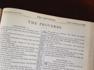 proverbs