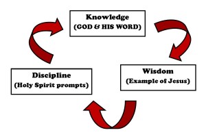 Trinity Knowledge